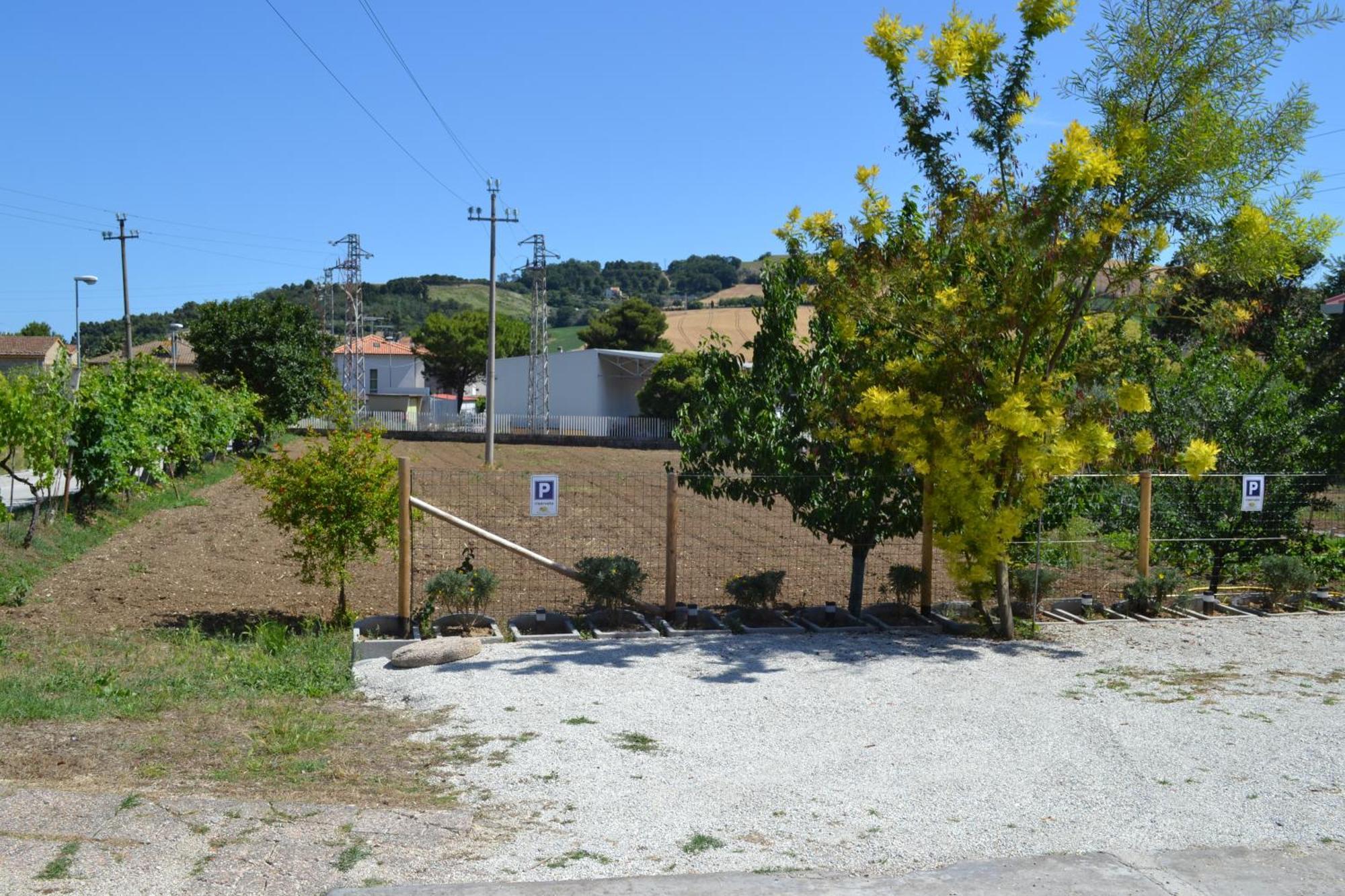 Casa Degli Ulivi - Apartment B Porto San Giorgio Dış mekan fotoğraf
